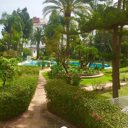 Puerto Banus .,gray De'albion *